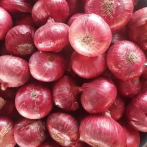 Fresh Red Onion (5kg)