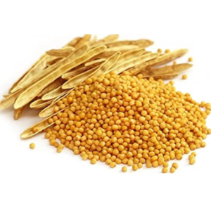 Whole Yellow Mustard Seeds, Sarso 100g