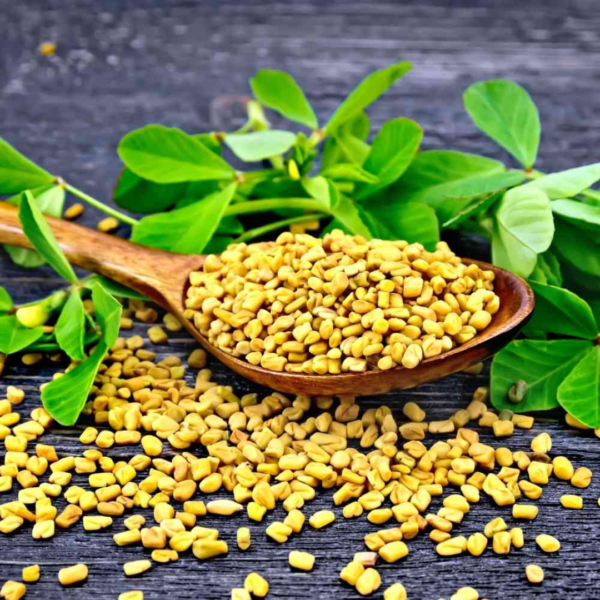 Fenugreek Seeds (Methi) 100g